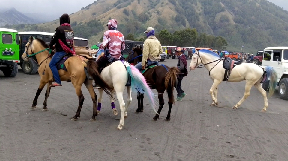 Jasa sewa kuda di kawasan Bromo menuju tahun baru 2024 sepi pengunjung