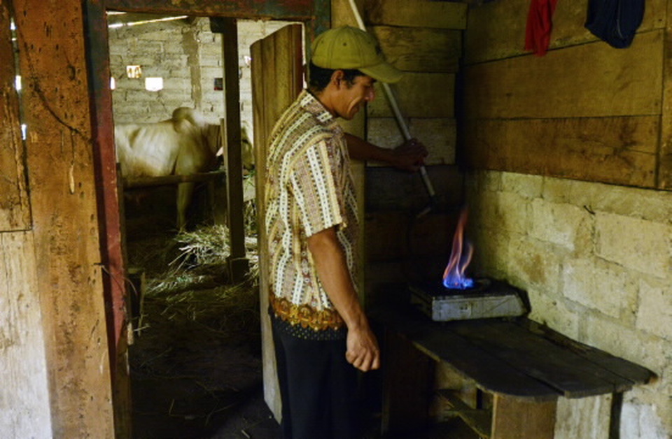 Masyarakat desa memanfaatkan kotoran hewan ternak untuk  biogas yang bisa dimanfaatkan sebagai bahan bakar kompor.