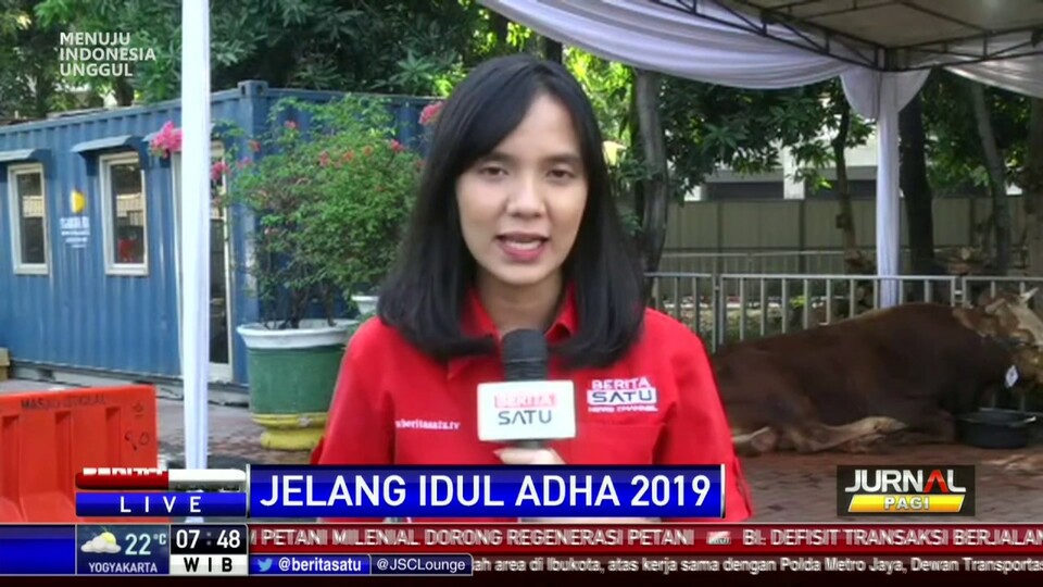 Jelang Iduladha, Masjid Istiqlal Terima Hewan Kurban Dari Masyarakat ...