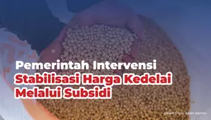 pemerintah-intervensi-stabilisasi-harga-kedelai-melalui-subsidi