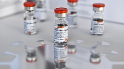 Direksi BUMN Farmasi Sebut Target Produksi 186 Juta Vaksin hingga Akhir Tahun