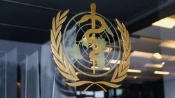 Logo Organisasi Kesehatan Dunia (WHO) terlihat di pintu masuk gedung WHO di Jenewa, Swiss, beberapa waktu lalu. (FOTO: REUTERS/Denis Balibouse)