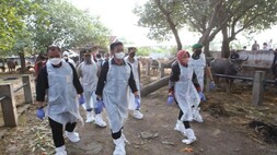 Wujudkan Jateng Zero PMK, Mentan SYL Tinjau Vaksinasi di Grobogan