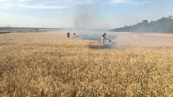 Petugas mematikan api di gandum Ukraina yang terbakar, setelah penembakan di wilayah Donetsk pada 31 Juli 2022 di tengah serangan Rusia ke Ukraina. (FOTO: Handout / UKRAINIAN EMERGENCY SERVICE / AFP)