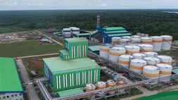 PT Citra Borneo Utama Tbk (CBUT). (Ilustrasi/Perseroan)