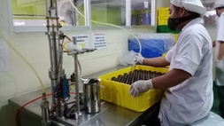 Kegiatan produksi PT Estee Gold Feet Tbk (EURO). (Ilustrasi/Perseroan)