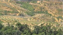 BPK: Indonesia Sudah Darurat SDA dan Lingkungan