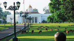 Kebun Raya Bogor.