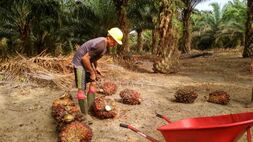 Petani Hadapi Masalah Legalitas Lahan