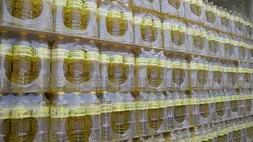 Minyakita Puasa-Lebaran Aman, meski Permintaan Bakal Melonjak