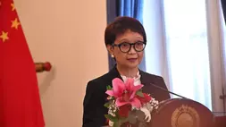 Indonesia Dorong Realisasi Komitmen Jepang untuk Bantu Transisi Energi