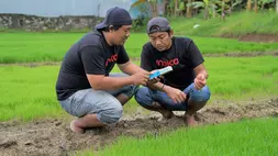 Indico Inisiasi Digitalisasi Pertanian di Wonogiri, Jawa Tengah