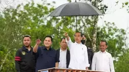 Presiden Joko Widodo saat meninjau titik lokasi pembangunan pusat latihan sepak bola nasional di kawasan subwilayah perencanaan 1B Ibu Kota Nusantara (IKN) di Penajam Paser Utara, Kalimantan Timur, Jumat (24/2/2023). (Foto: Istimewa)