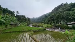Filantropi Islam Berpotensi Biayai Solusi Perubahan Iklim