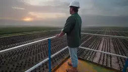 Emiten Ketok Dividen Rp 268 per Saham