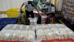 Kementan Sebut Hasil Uji Beras Food Station Tak Sesuai Mutu 