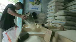 Pedagang merapikan beras yang dijual agen beras di Jakarta, baru-baru ini. (B-Universe Photo/Joanito De Saojoao)