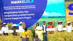 Bangunkan Lahan Tidur, Petani di Jatim Produksi Gabah 8 Ton per Hektare