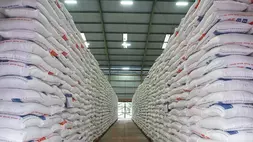 Stok cadangan beras pemerintah (CBP) di gudang Perum Bulog. (Foto : Perum Bulog)