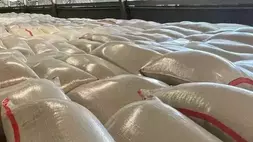 Beras Food Station Cipinang Tidak Sesuai Standar Mutu dan Dijual di Atas HET