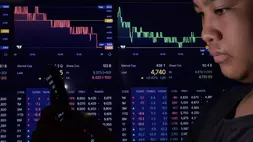Demi Cuan, Fokus pada 6 Saham