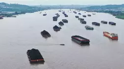 Kapal-kapal pengangkut batu bara melintasi Sungai Mahakam, Samarinda pada 18 Februari 2025. (Foto: Antara/ M Risyal Hidayat)
