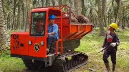 Cisadane Sawit Raya (CSRA). Perseroan