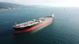 Chandra Shipping International entitas CDIA. Perseroan
