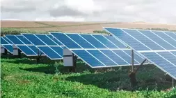 Kencana Energi Lestari (KEEN)
Sumber; Ist