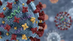 Virus Influenza A