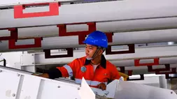 Ilustrasi peserta Program Magang Nasional. (Foto : Istimewa)