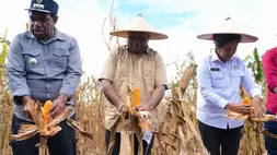 Gubernur Papua, Matius D. Fakhiri. Ist