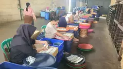 Buruh pabrik rokok (PR) di Malang sedang mengerjakan pengepakan rokok sebelum dikemas sesuai merek ANTARA/HO-Formasi