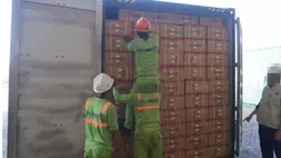 Sejumlah petugas mengecek isi kontainer yang kemudian disita Komisi Pemberantasan Korupsi, di Pelabuhan Tanjung Emas, Semarang, Jawa Tengah, Selasa (12/5/2026). ANTARA/HO-KPK