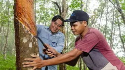 Tagih Lagi Janji KPK Tahan Tersangka Korupsi CSR BI-OJK, Formappi: Demi Jaga Marwah KPK
Sumber; Ist