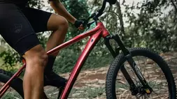 Ilustrasi MTB Sport
