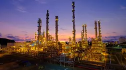 PT Chandra Asri Pacific Tbk (TPIA) atau  Chandra Asri Group. Perseroan