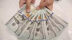Karyawan memperlihatkan uang dolar Amerika Serikat (AS) di Kantor Cabang Bank Syariah Indonesia, Jakarta, Rabu (3/6/2026). (ANTARA FOTO/Muhammad Iqbal)