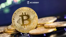 Ilustrasi Bitcoin. Sumber: Indodax