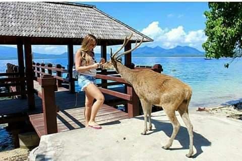 Pulau Menjangan, Surga Bahari Nan Sakral