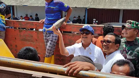 Ikan Tangkap di Kawasan Indramayu Dapat Pasok Program Makan Bergizi Gratis
