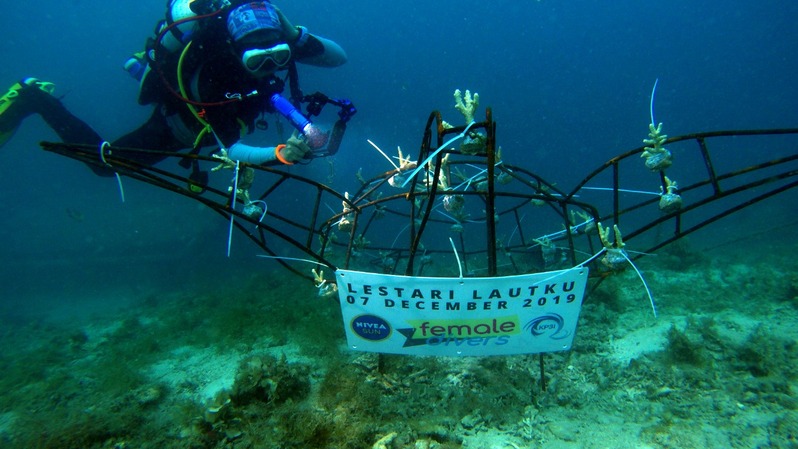Bangun Kesadaran Masyarakat atas Kondisi Buruk Terumbu Karang di Indonesia, NIVEA SUN Lakukan Kegiatan Tanam Terumbu Karang Bersama Komunitas Female Divers
Kerusakan terumbu karang disebabkan pencemaran sampah di laut, perubahan iklim global, dan dua zat kimia yang kerap digunakan oleh beberapa produk sunscreen