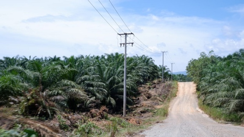 Pln Hadirkan Layanan Listrik 24 Jam Di Sei Menggaris Nunukan 3076