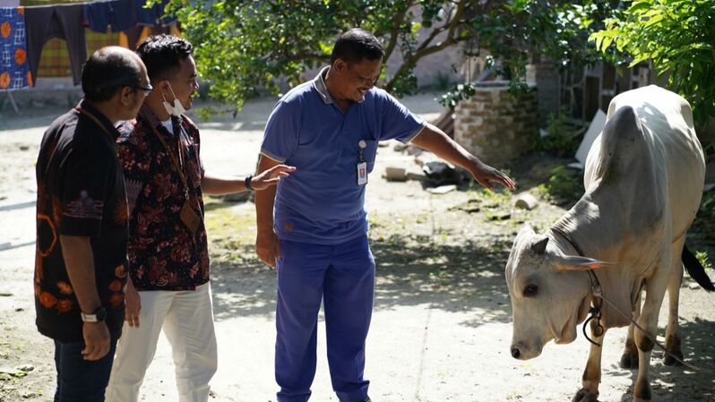 PT Inalum Rayakan Iduladha 1443 H dengan Bagikan Hewan Kurban Kepada Masyarakat