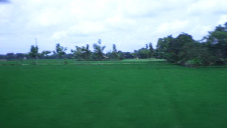 lahan pertanian