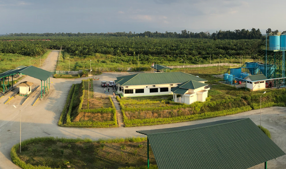 PT Eagle High Plantations Tbk (BWPT). Foto: Perseroan.