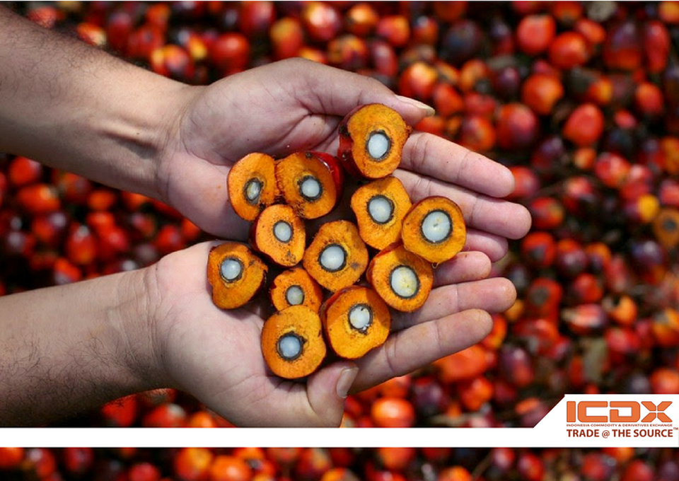 Harga kontrak berjangka CPO milik PT Bursa Komoditi & Derivatif Indonesia (ICDX), CPOTR, naik 1,90% dalam sepekan terakhir.