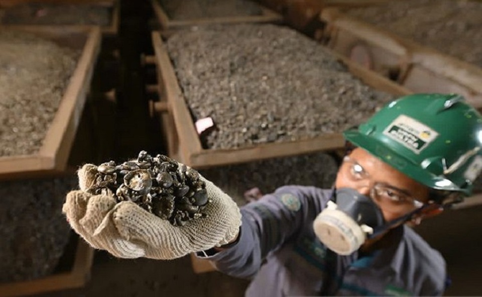 Seorang pekerja tambang PT Aneka Tambang Tbk (ANTM) atau Antam menunjukkan bijih nikel yang siap diolah menjadi feronikel. (Foto: ANTARA/HO-Antam)