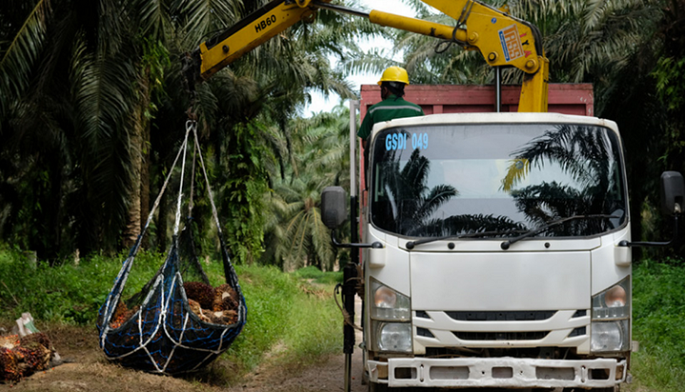 Aktivitas di perkebunan kelapa sawit PT Astra Agro Lestari Tbk. (Foto: Perseroan)
