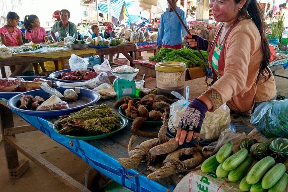 Dalam foto tak bertanggal yang dirilis oleh World Wildlife Fund ini, seorang wanita memamerkan biawak, tupai, dan burung liar untuk dijual di pasar terbuka Attapeu, Laos. Sebuah laporan yang dirilis oleh World Wildlife Fund pada 1 April 2022 menunjukkan pembelian ilegal satwa liar secara daring tumbuh di Myanmar, menjadi ancaman bagi kesehatan masyarakat maupun bagi spesies yang terancam punah. (Foto: K. Yoganand/World Wildlife Fund via AP)
